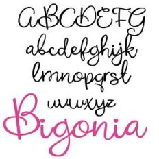 pn bigonia