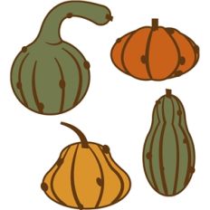 warty gourds