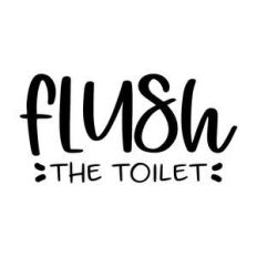 flush the toilet