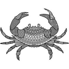 crab mandala zentangle