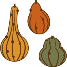 warty gourds