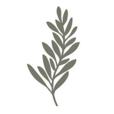 greenery branch