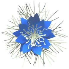 love in a mist 3d flower