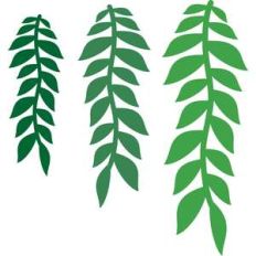 branches with leaves