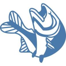 fishing fish