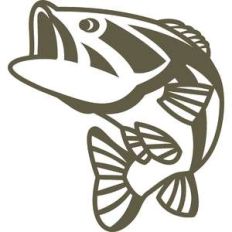 fishing striped fish