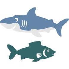 set shark and fish