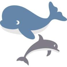 set whale and dolphin