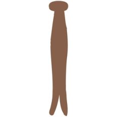 echo park clothespin