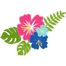 hawaiian flowers
