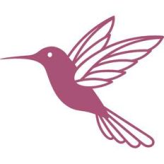 hummingbird