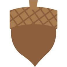acorn