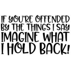if you're offended by the things i say... funny quote