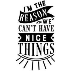 i'm reason can't have nice things