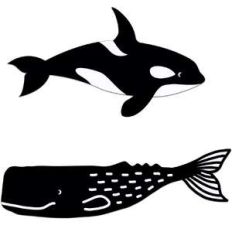 whales
