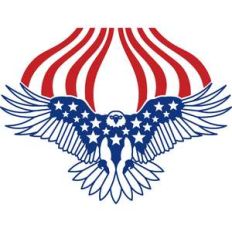 independence day american eagle