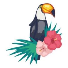 toucan