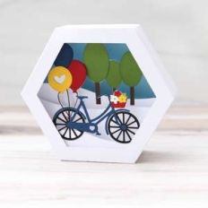 hexagon shadowbox bicycle