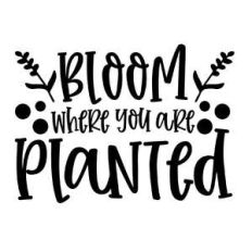 bloom where you were planted