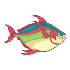 tropical fish