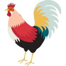 rooster