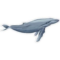 whale