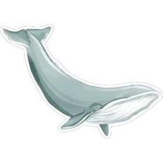 whale