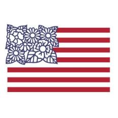 american flag