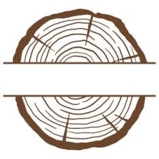 wood slice split circle frame
