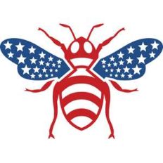 american bee
