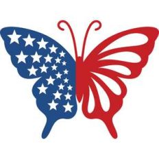 american butterfly