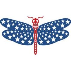 american dragonfly