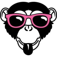 monkey and sunglasses