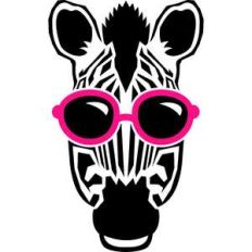 zebra and sunglasses
