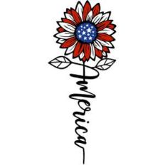 sunflower america