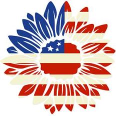 american sunflower