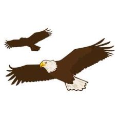 eagle