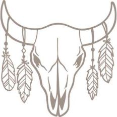cow skull with feathers
