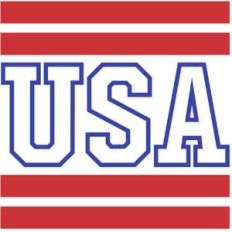 usa logo