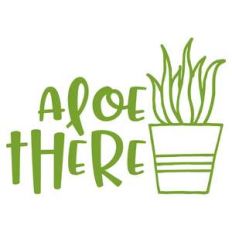 aloe there