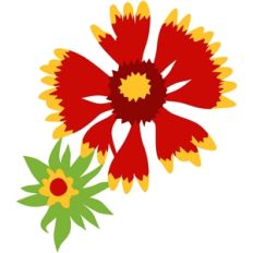 gallardia flower