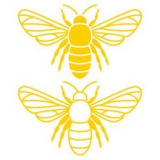 bees