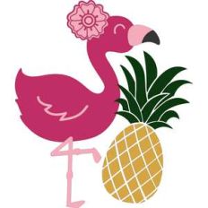 pineapple and flamingo