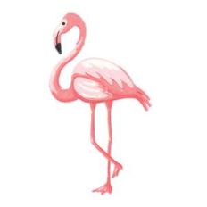 painted flamingo