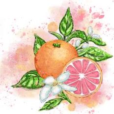 painted grapefruit