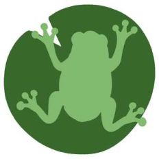frog on lily pad