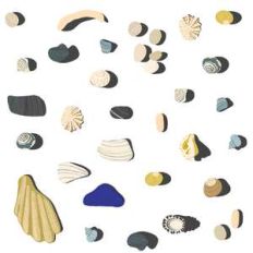 beachcombing shell stickers