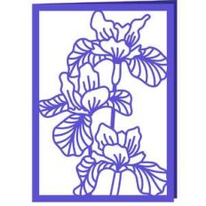 iris card