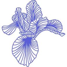 iris flower papercut