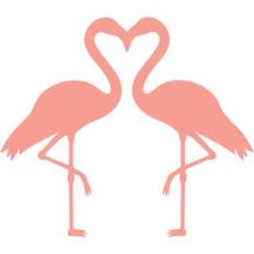 flamingos couple